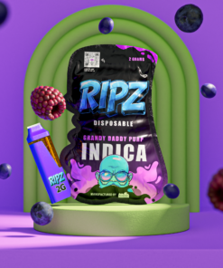 Ripz Grandy Daddy Purp | Premium 2g Disposable | Ripz Disposable